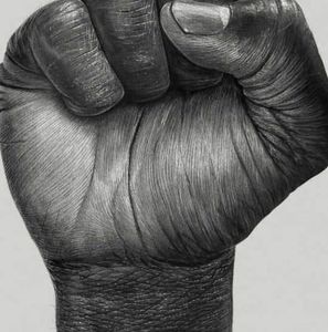 Meet your Posher, Rohey